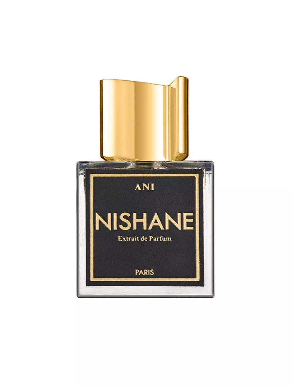 NISHANE ANI 100ML EDP