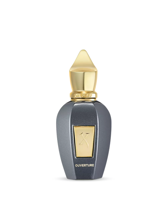 Xerjoff Ouverture 100ml
